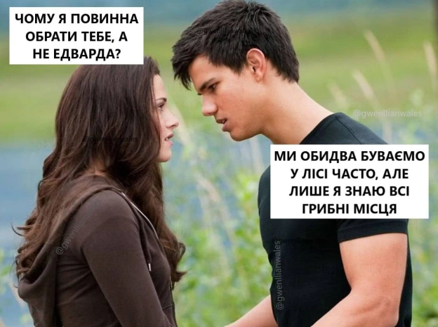 Вибір очевидний (с) @gwenllianwales@memargam - на we.ua