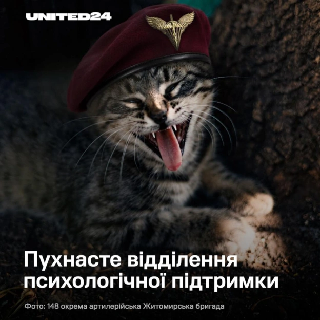 Не кожен боєць на передовій носить зброю. Дехто має чотири лапи, вуса й талант з’являтися саме тоді, коли найбільше потрібен.Ц... - на we.ua