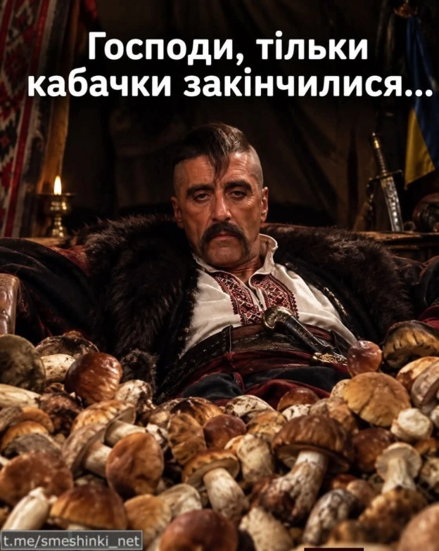 Переглянути нові  |  Надіслати своє - Воєнні Смішинки на we.ua