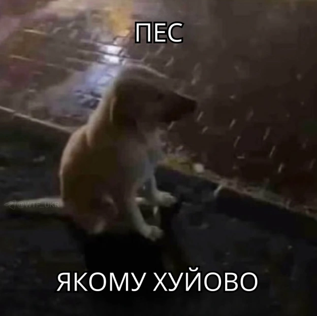 Сьогодні я💀TG | X | FB | Instahttps://instagram.com/wtf_ukr/ - на we.ua