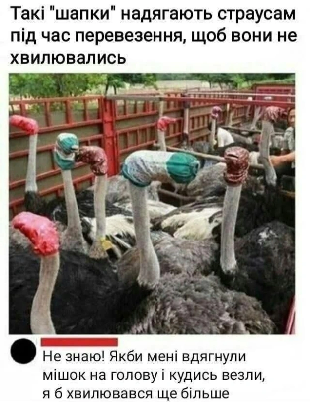 на we.ua
