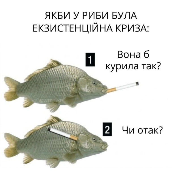 Час для глибокого філософського питання💀TG | X | FB | Instahttps://instagram.com/wtf_ukr/ - на we.ua