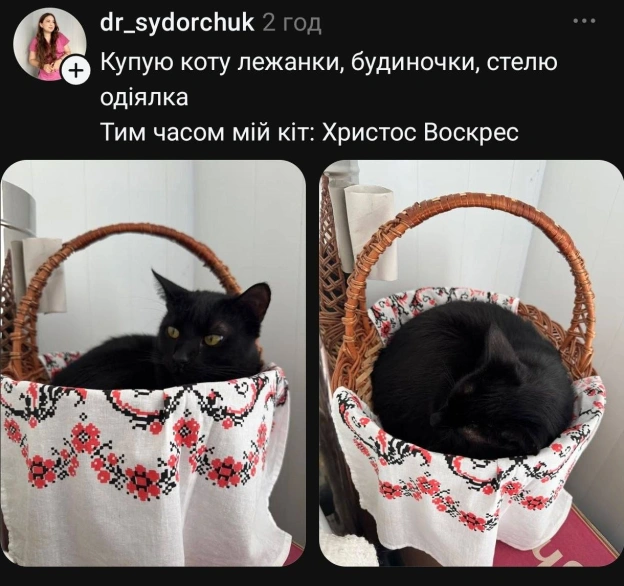 на we.ua