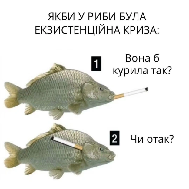 на we.ua