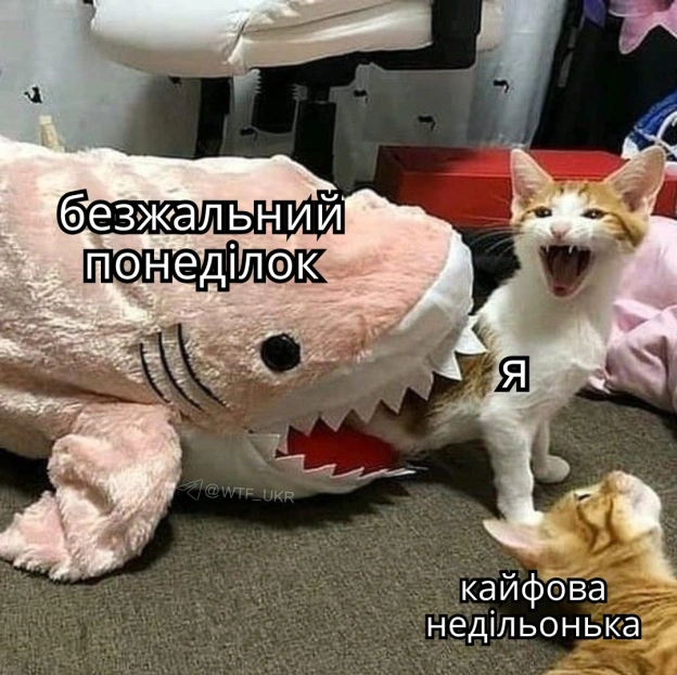 Ситуація наступна💀TG | X | FB | Instahttps://instagram.com/wtf_ukr/ - на we.ua