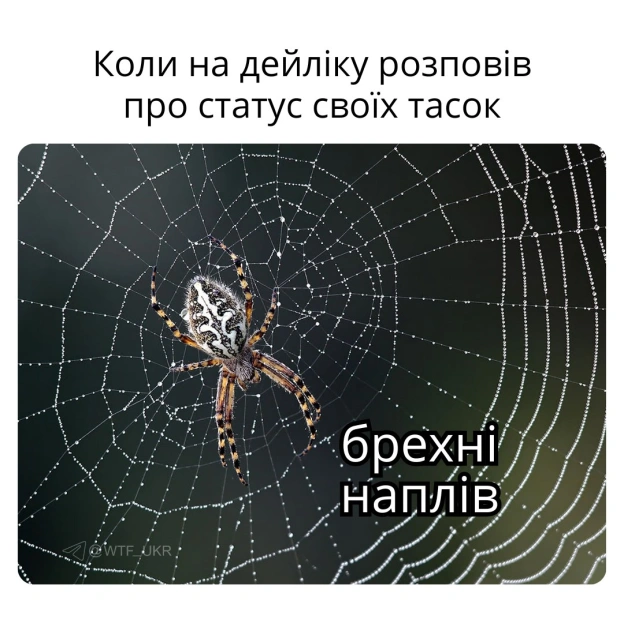 💀TG | X | FB | Instahttps://instagram.com/wtf_ukr/ - на we.ua