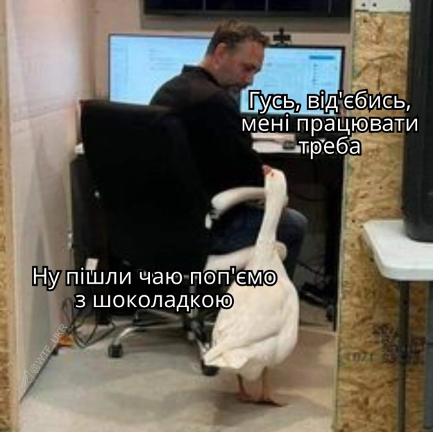 💀TG | X | FB | Instahttps://instagram.com/wtf_ukr/ - на we.ua