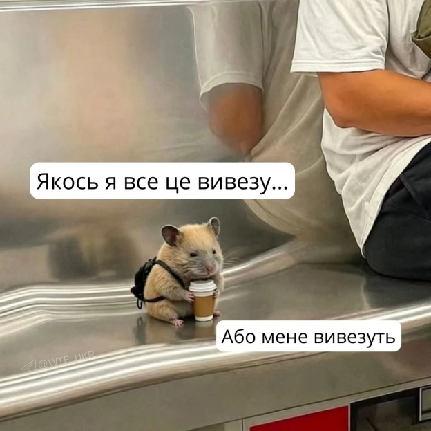Мда💀TG | X | FB | Instahttps://instagram.com/wtf_ukr/ - на we.ua