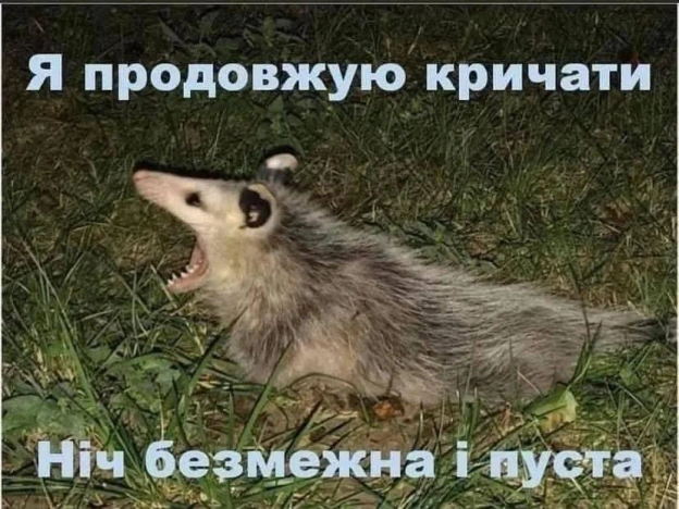 на we.ua