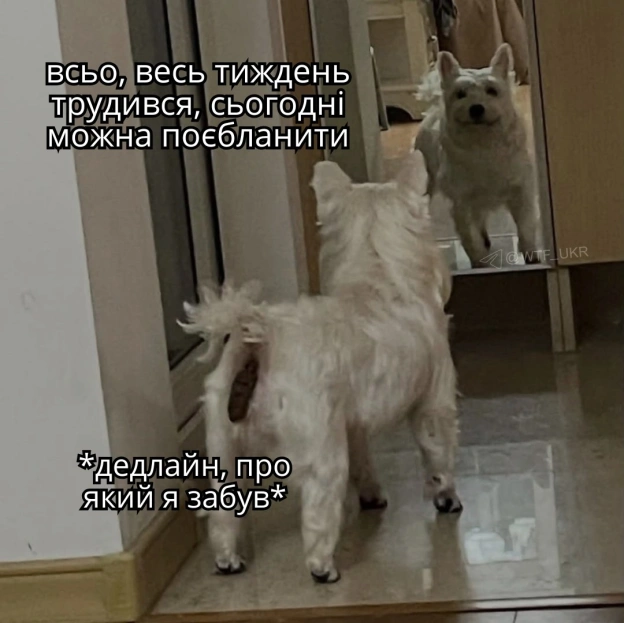 Ситуація💀TG | X | FB | Instahttps://instagram.com/wtf_ukr/ - на we.ua