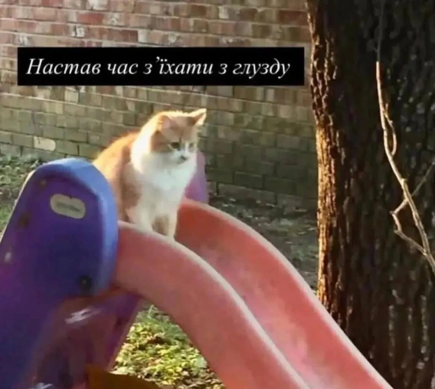 на we.ua