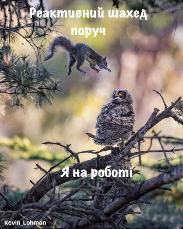 на we.ua