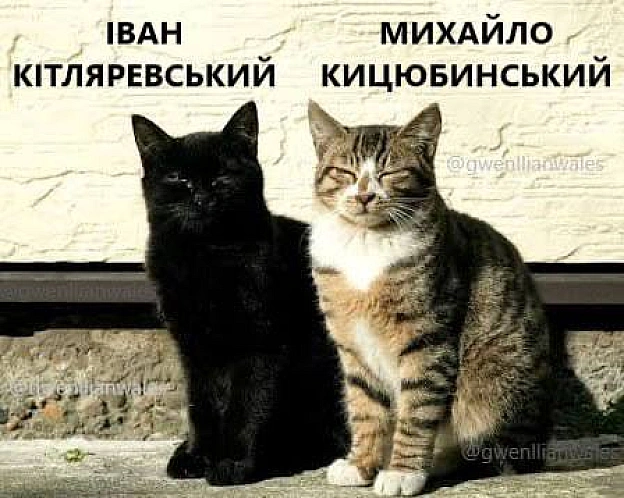 Ці не пишуть, бо у них лапки (с) @gwenllianwales@memargam - на we.ua