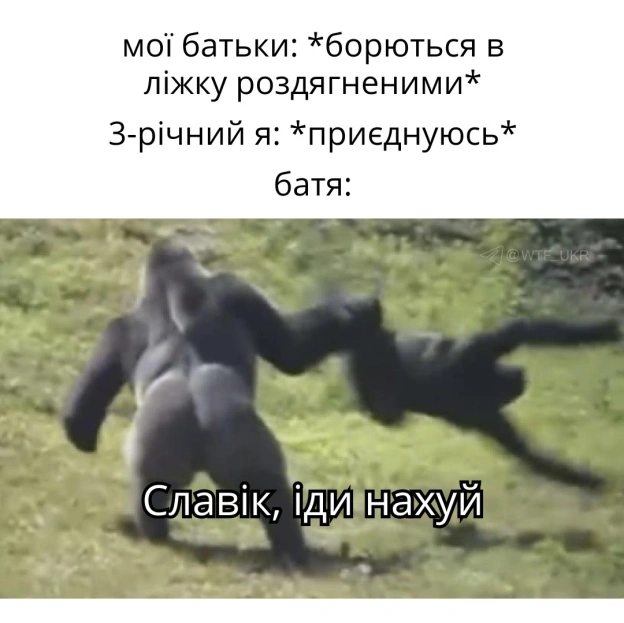 💀TG | X | FB | Instahttps://instagram.com/wtf_ukr/ - на we.ua