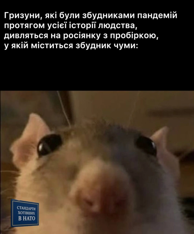 на we.ua