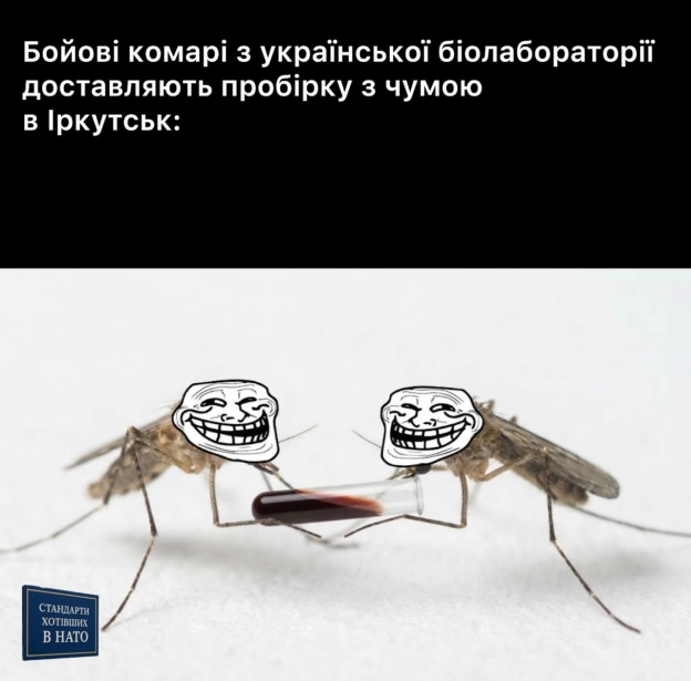 на we.ua