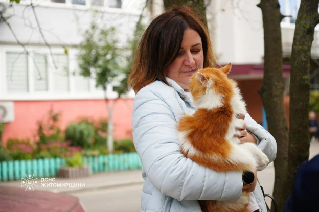 ❤️ 🐾 Хвилинка доброти: як після удару по багатоповерхівці бердичівці рятували тваринокНавіть серед тривог і руйнувань у наших ... - на we.ua