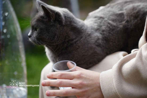 ❤️ 🐾 Хвилинка доброти: як після удару по багатоповерхівці бердичівці рятували тваринокНавіть серед тривог і руйнувань у наших ... - на we.ua