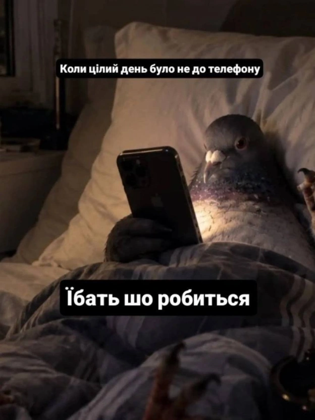 на we.ua
