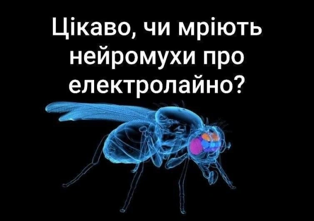 на we.ua
