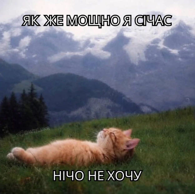Повний сил і енергії💀TG | X | FB | Instahttps://instagram.com/wtf_ukr/ - на we.ua