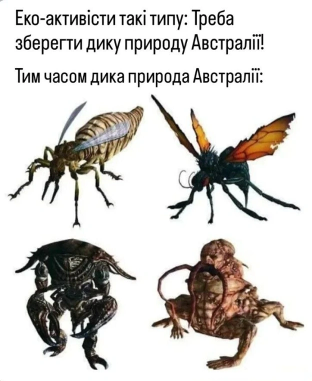 на we.ua