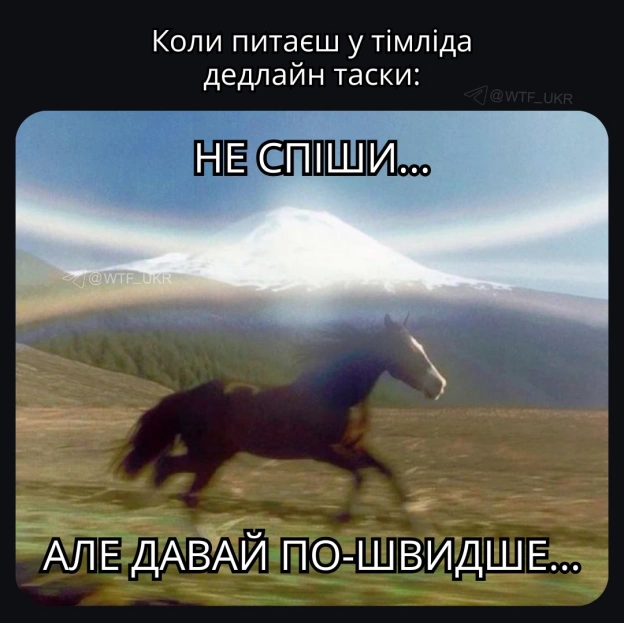 💀TG | X | FB | Instahttps://instagram.com/wtf_ukr/ - на we.ua