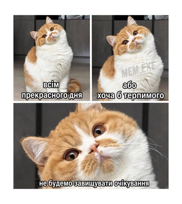 на we.ua