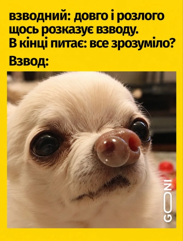 І цвіркуни цвірчать в тиші )) - на we.ua