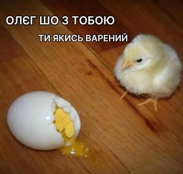 Він не любить крєм брюлє - на we.ua