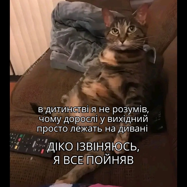 💀TG | X | FB | Instahttps://instagram.com/wtf_ukr/ - на we.ua