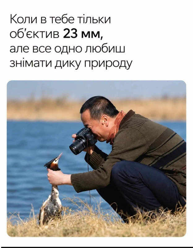 на we.ua
