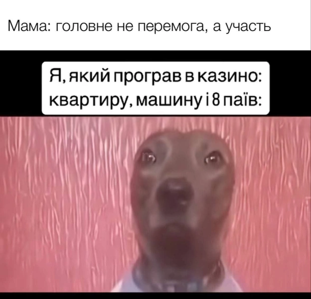 на we.ua