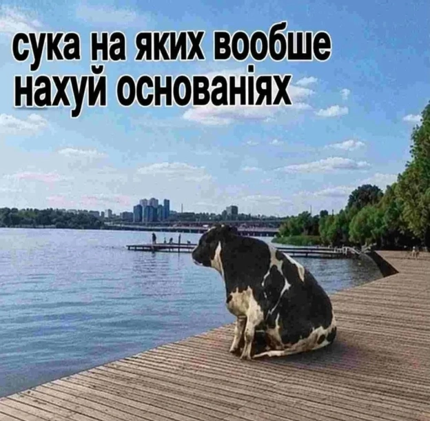 Ukrmemes mine problemes на we.ua