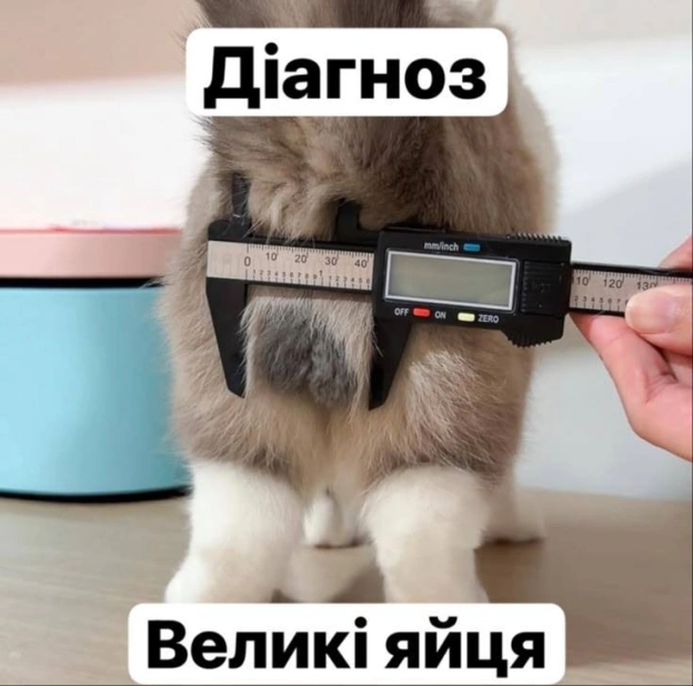 Ukrmemes mine problemes на we.ua