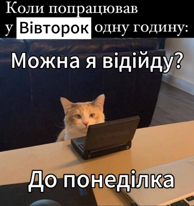 на we.ua