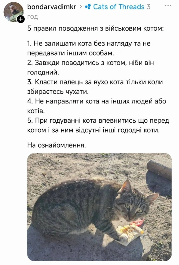 на we.ua