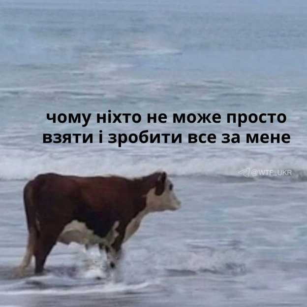 Вайбік💀TG | X | FB | Instahttps://instagram.com/wtf_ukr/ - на we.ua