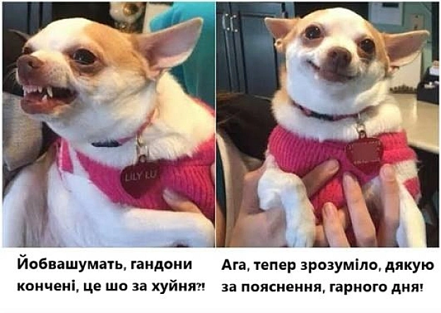 Чисто я сьогодні, коли не вшарила, як користуватися однією фігнею - on we.ua