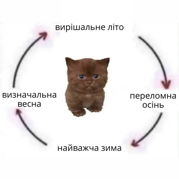 на we.ua