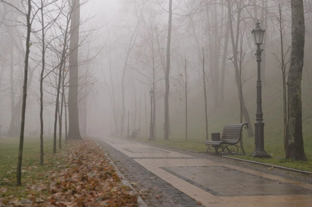 🌫 До ранку 18 жовтня в Києві утримуватиметься туман – УкргідрометцентрВидимість 200-500 м (І рівень небезпечності, жовтий).🚙... - на we.ua