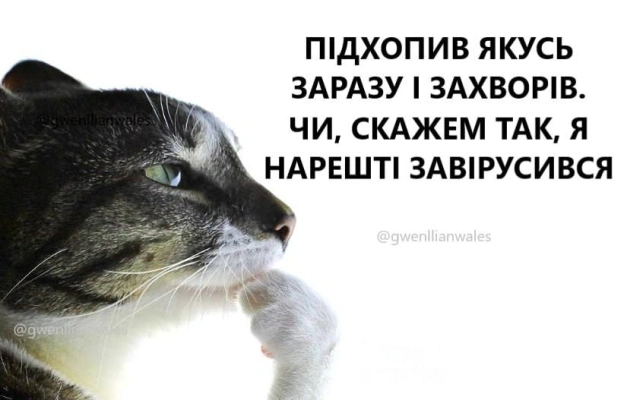 Завірусився, але є один нюанс(с) @gwenllianwales@memargam - на we.ua