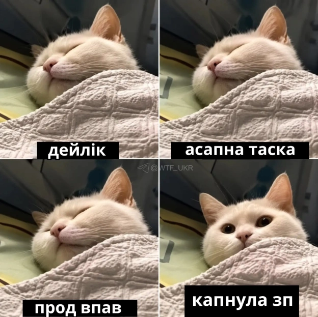 💀TG | X | FB | Instahttps://instagram.com/wtf_ukr/ - на we.ua