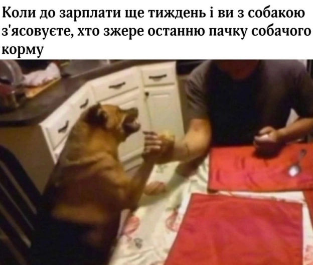 на we.ua