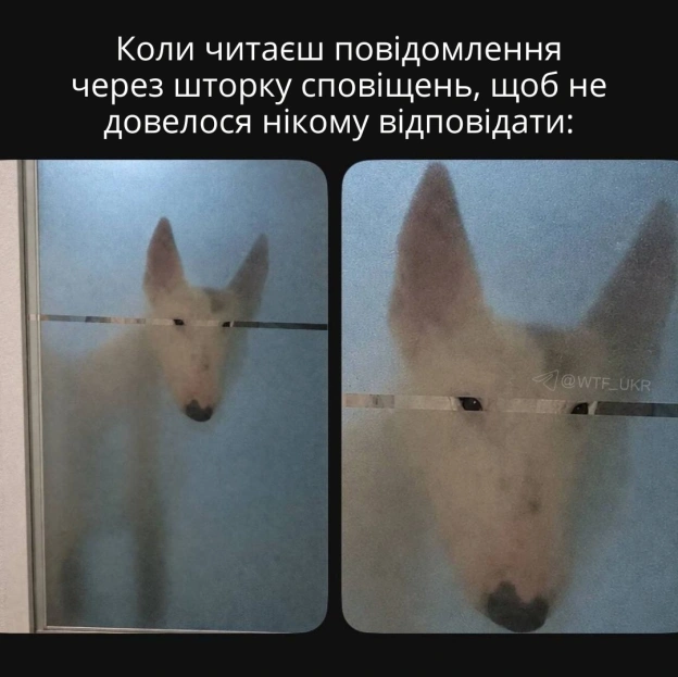 💀TG | X | FB | Instahttps://instagram.com/wtf_ukr/ - на we.ua