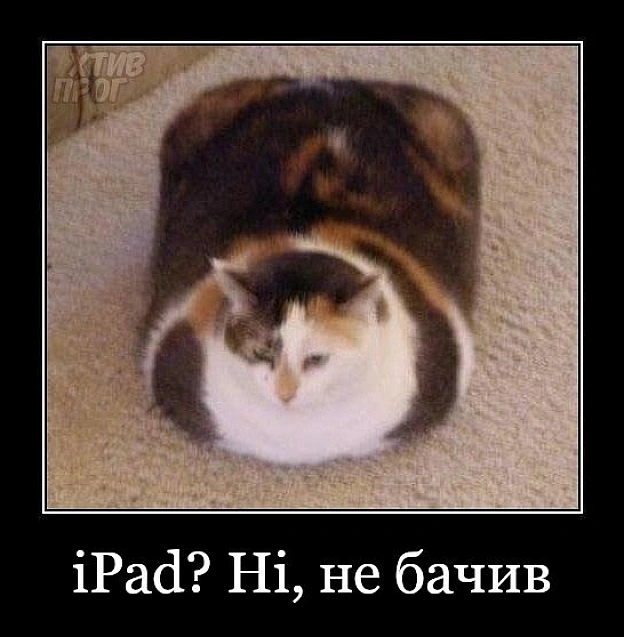 Коли знехтував годуванням кота - на we.ua
