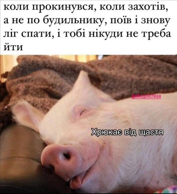 на we.ua
