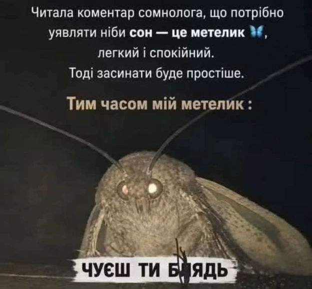 на we.ua
