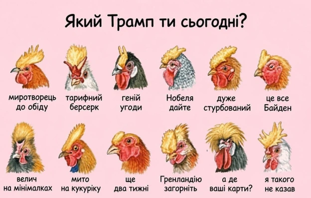 на we.ua