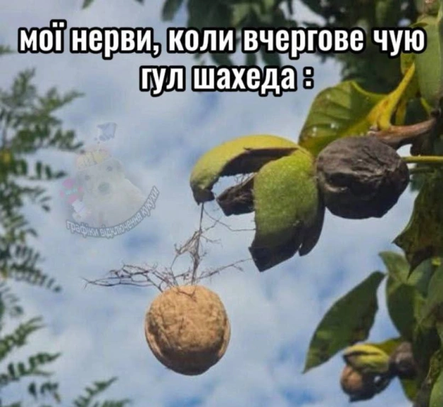 на we.ua